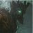 Treant